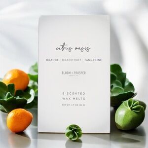 New 3 Pack Scented Wax Melt Set